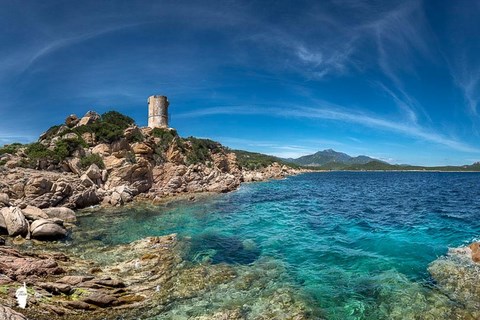 Le syndicat corse des couteliers et des professionnels de la coutelerie corse